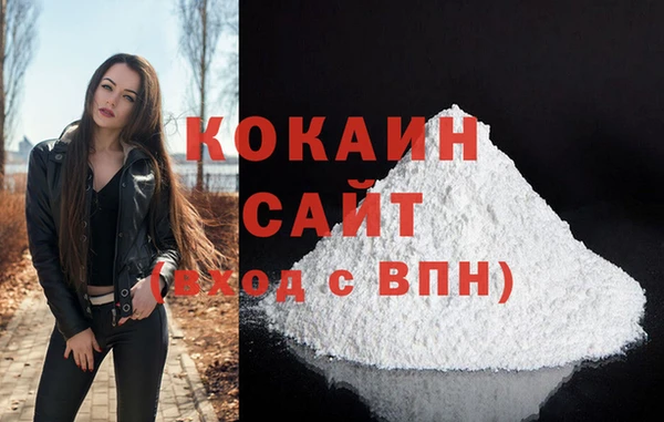 прущий лед Дмитриев