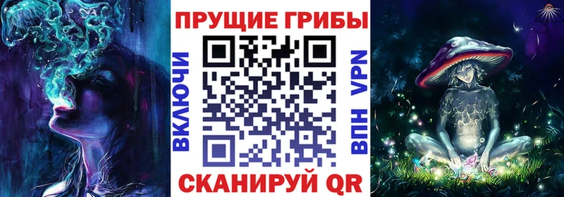 Купить где  Александровск  Галлюциногенные грибы Psilocybe 