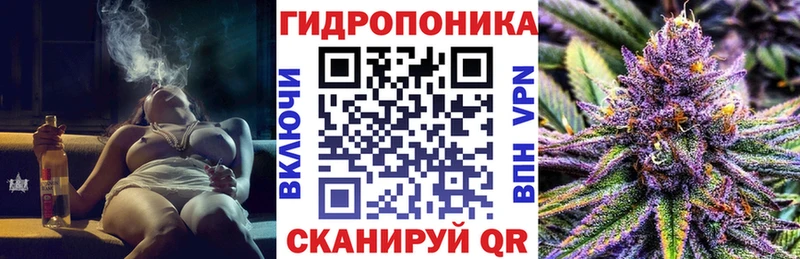 Купить закладки  Александровск  Конопля Ganja 